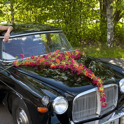 brud&nbsp;10&nbsp;bil_DSC0159&nbsp;400px